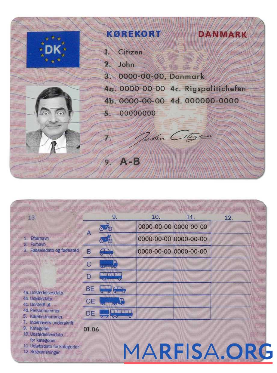 Blank Denmark driving license (1997 2013) example